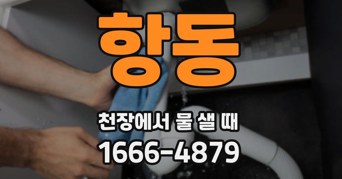항동 천장에서 물 샐 때