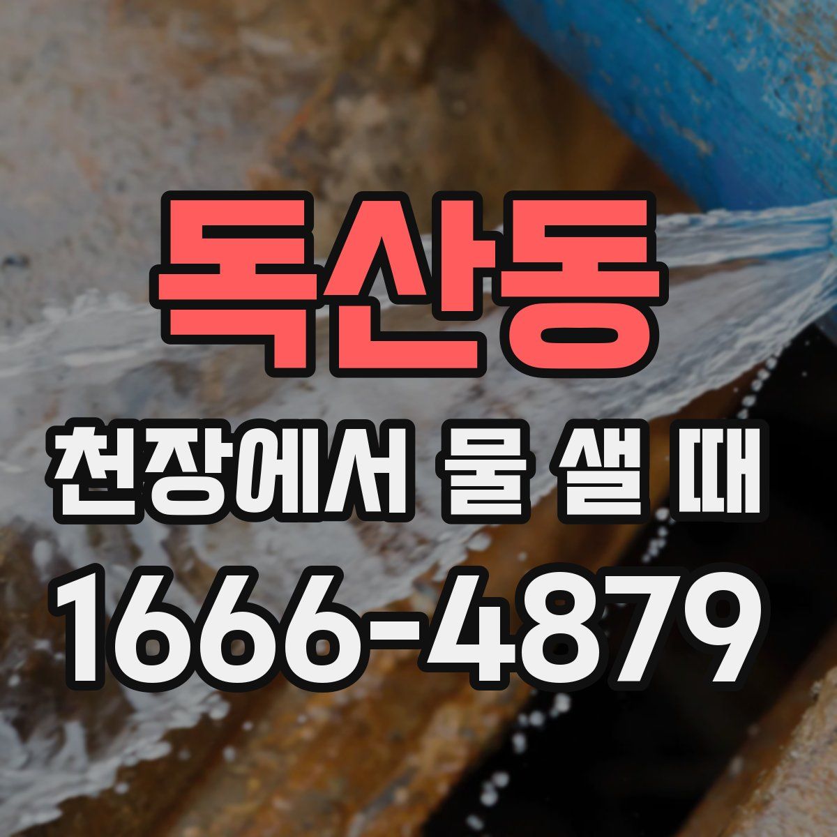 독산동 천장에서 물 샐 때