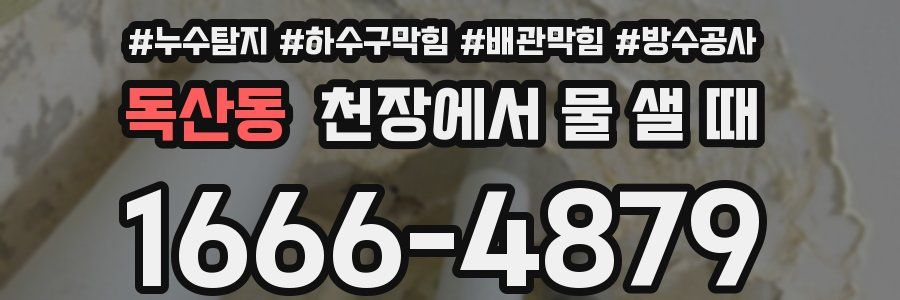 독산동 천장에서 물 샐 때