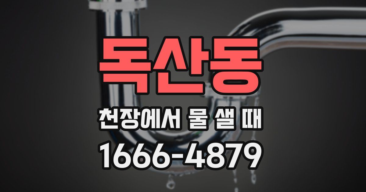 독산동 천장에서 물 샐 때