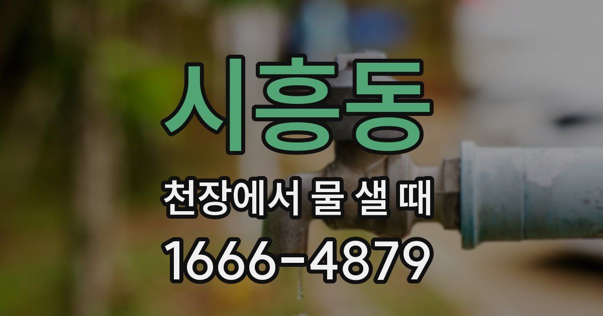 시흥동 천장에서 물 샐 때