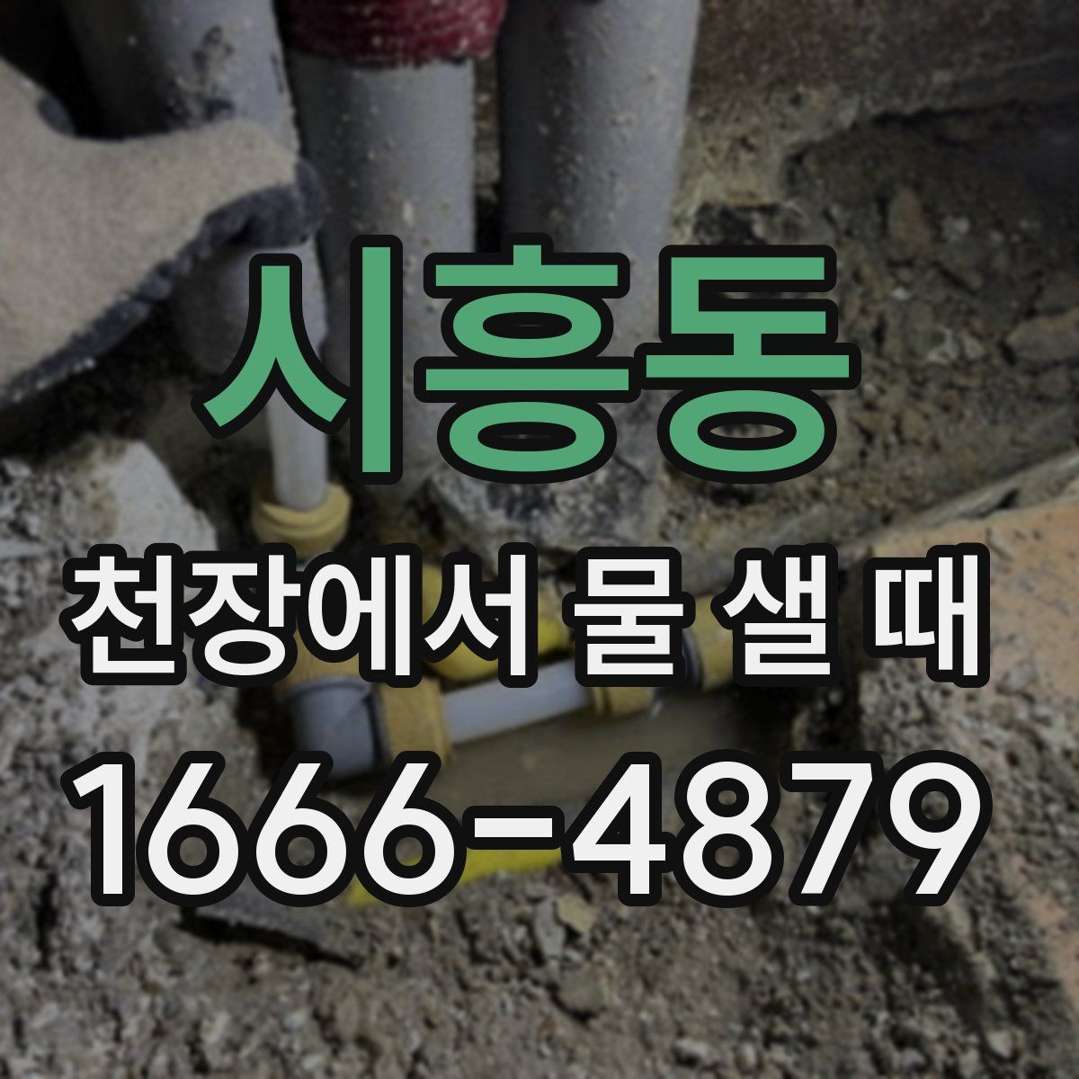 시흥동 천장에서 물 샐 때