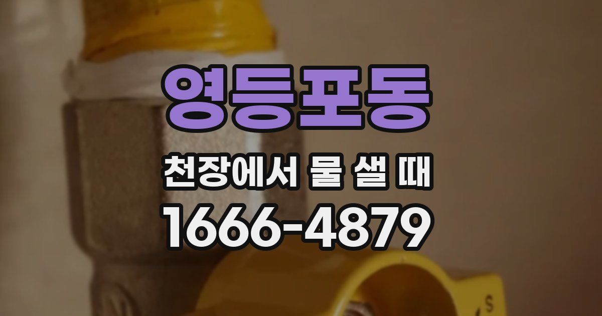 영등포동 천장에서 물 샐 때