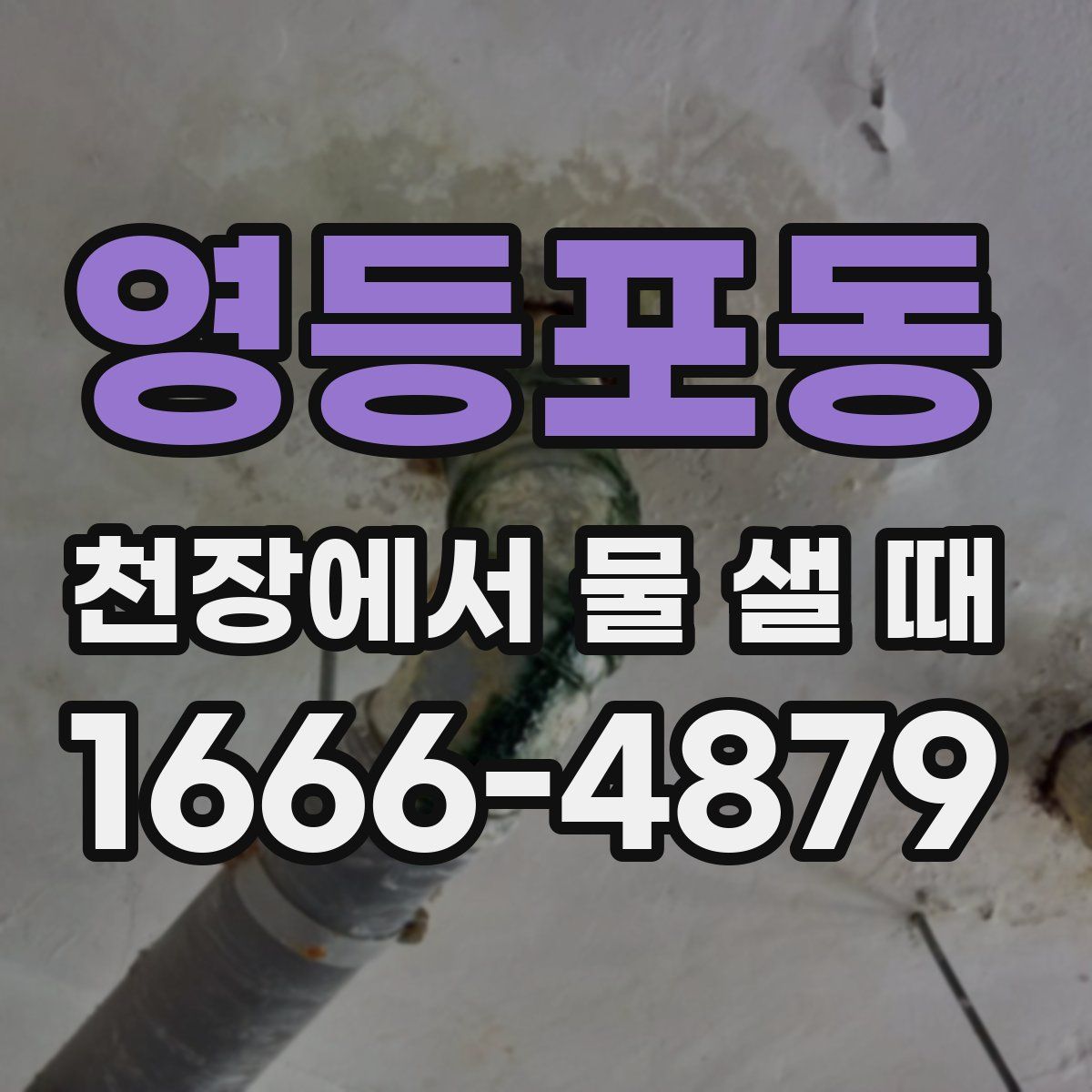 영등포동 천장에서 물 샐 때