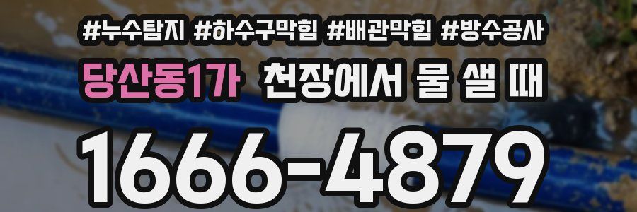 당산동1가 천장에서 물 샐 때