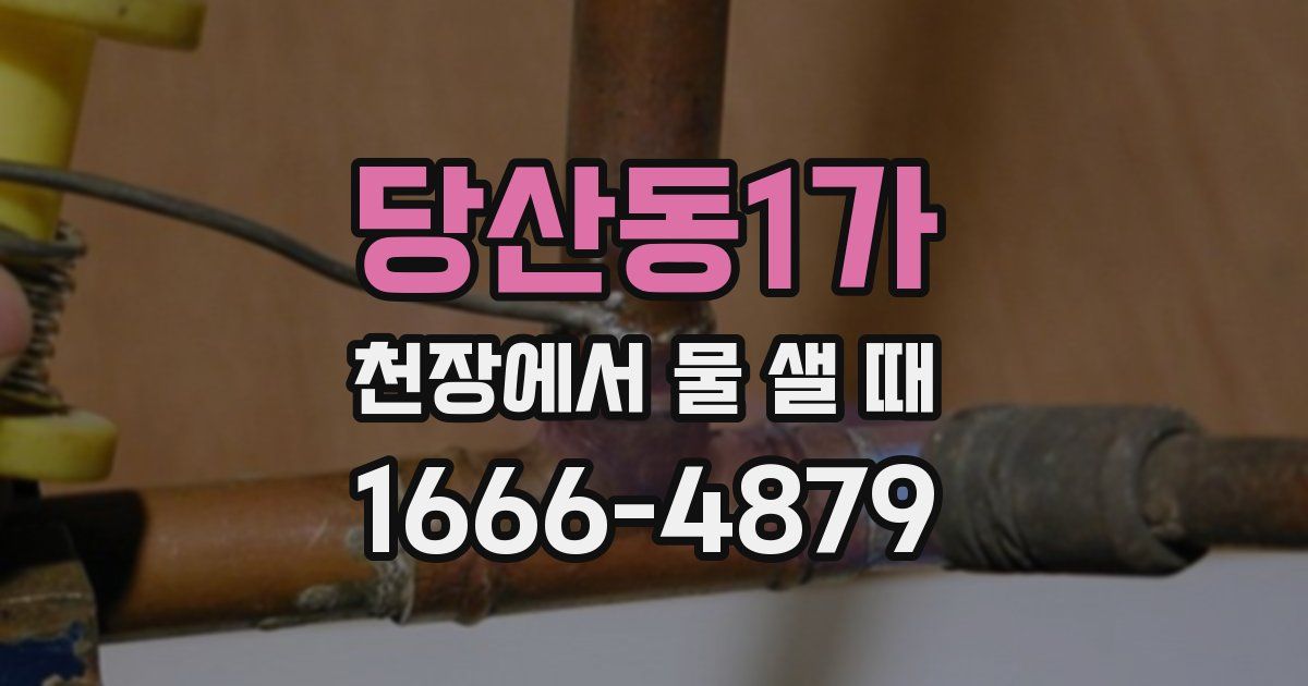 당산동1가 천장에서 물 샐 때