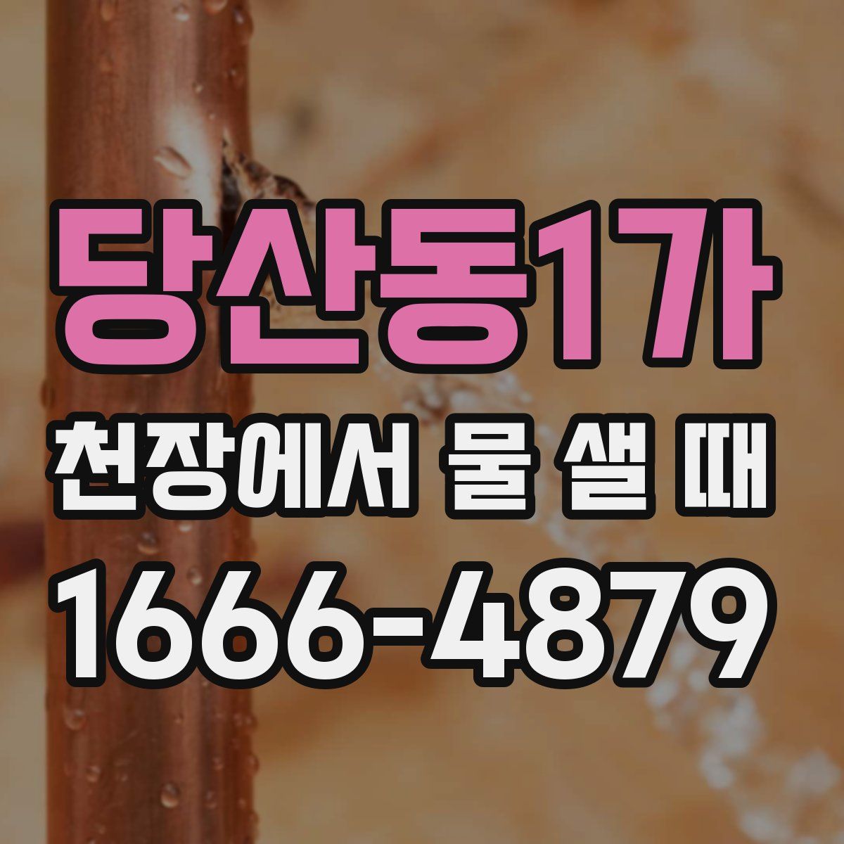 당산동1가 천장에서 물 샐 때