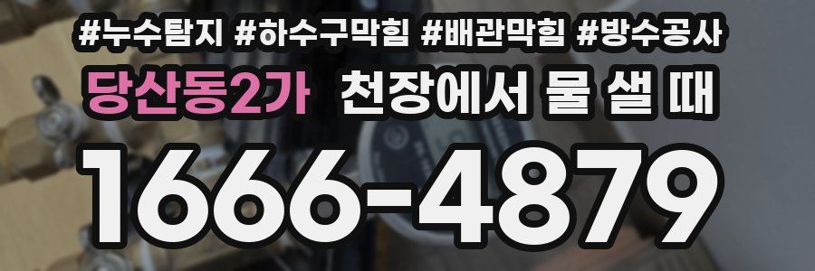 당산동2가 천장에서 물 샐 때