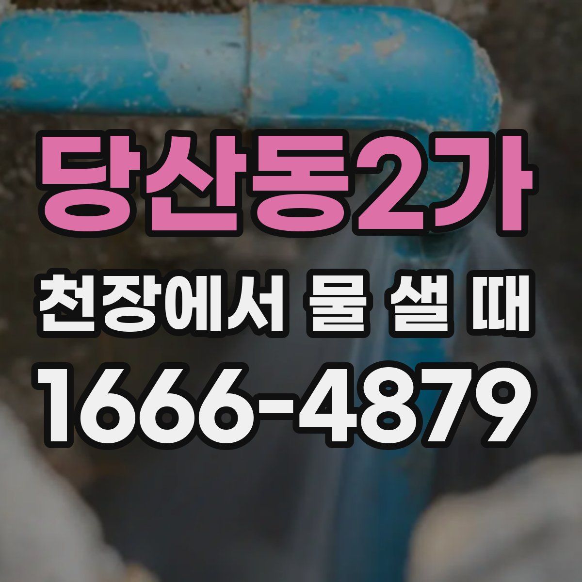 당산동2가 천장에서 물 샐 때