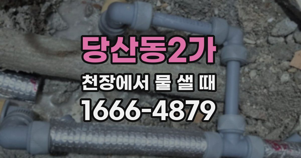 당산동2가 천장에서 물 샐 때