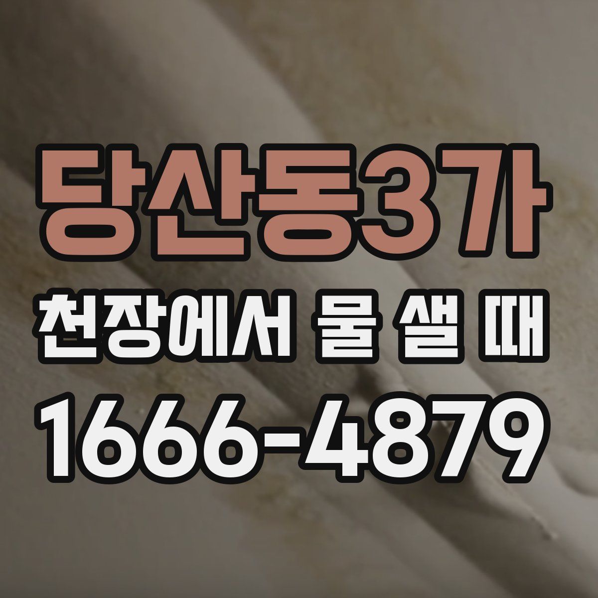 당산동3가 천장에서 물 샐 때