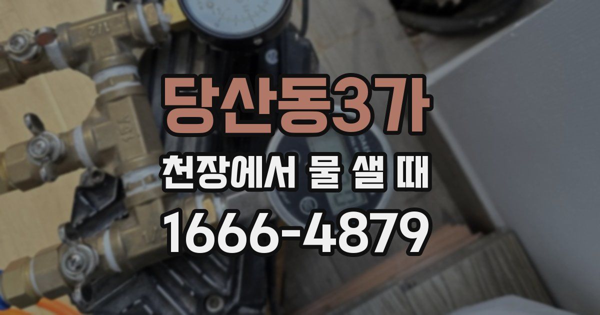 당산동3가 천장에서 물 샐 때