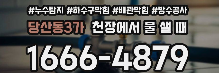 당산동3가 천장에서 물 샐 때