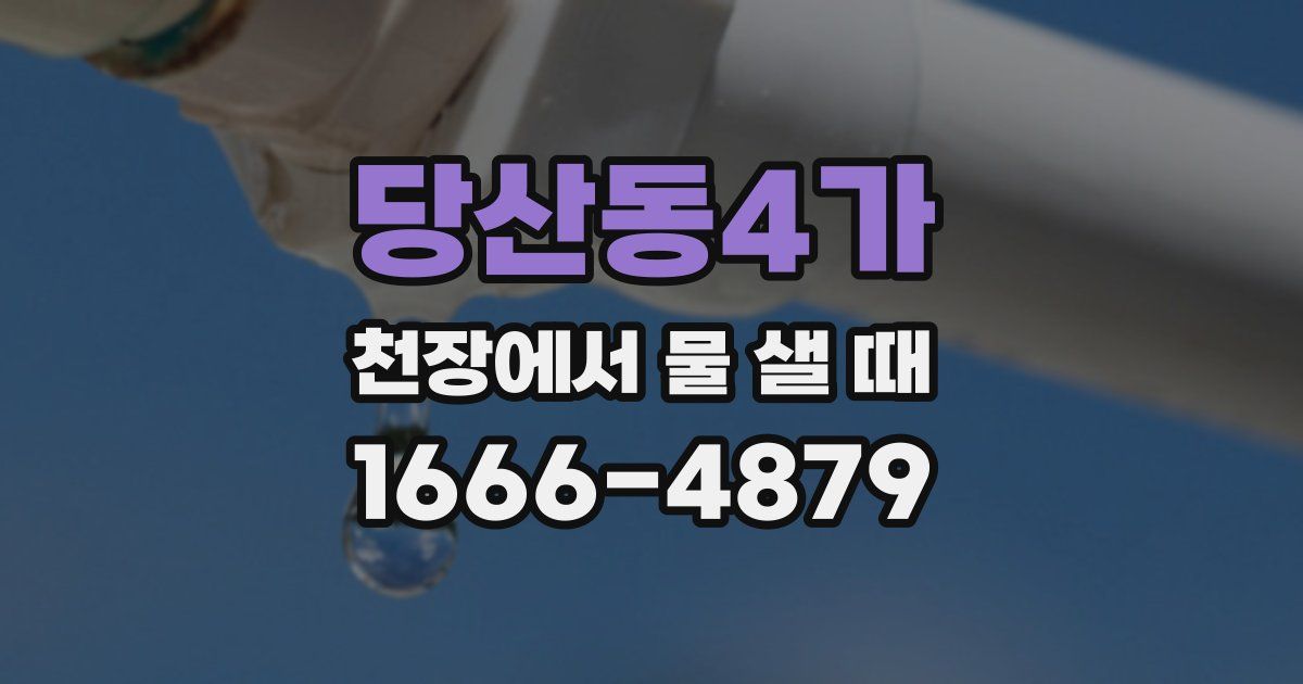 당산동4가 천장에서 물 샐 때