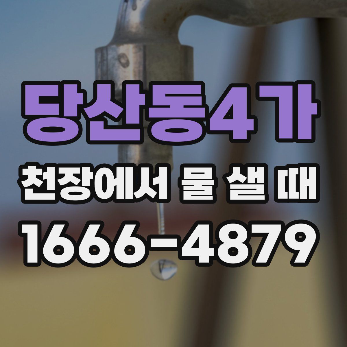 당산동4가 천장에서 물 샐 때