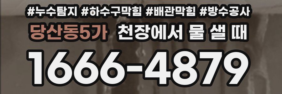 당산동5가 천장에서 물 샐 때