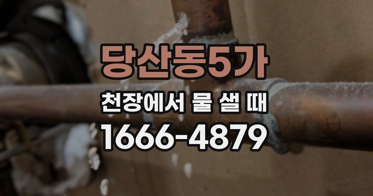 당산동5가 천장에서 물 샐 때