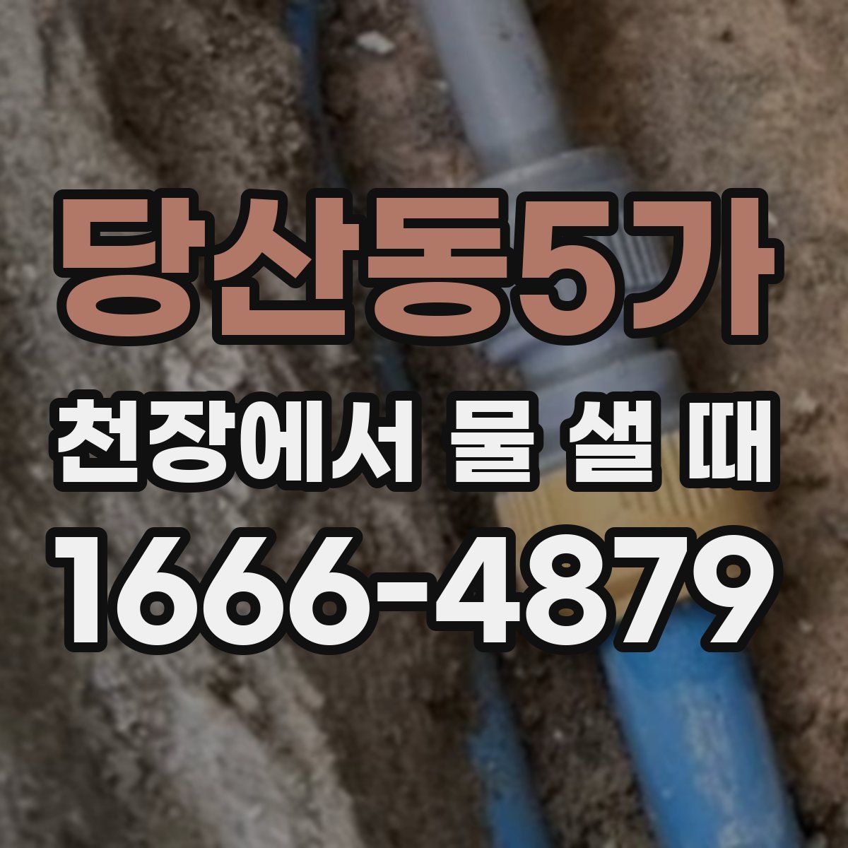 당산동5가 천장에서 물 샐 때