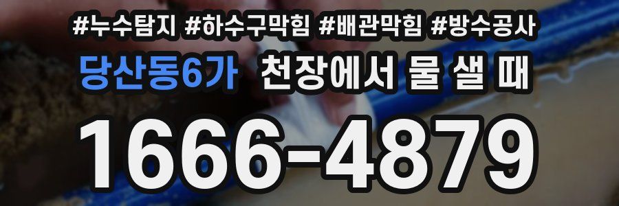 당산동6가 천장에서 물 샐 때