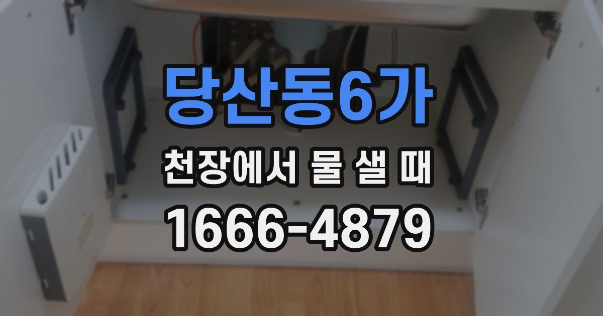 당산동6가 천장에서 물 샐 때