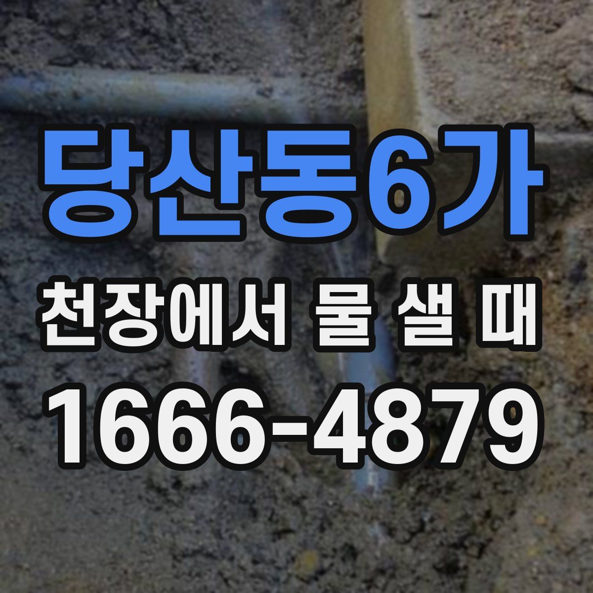 당산동6가 천장에서 물 샐 때