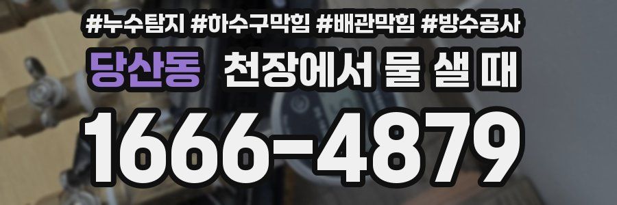 당산동 천장에서 물 샐 때