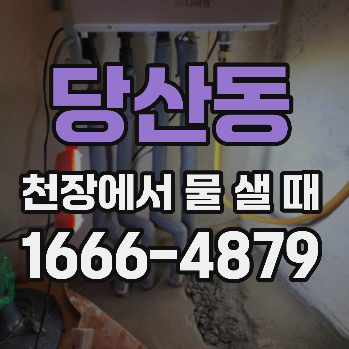당산동 천장에서 물 샐 때