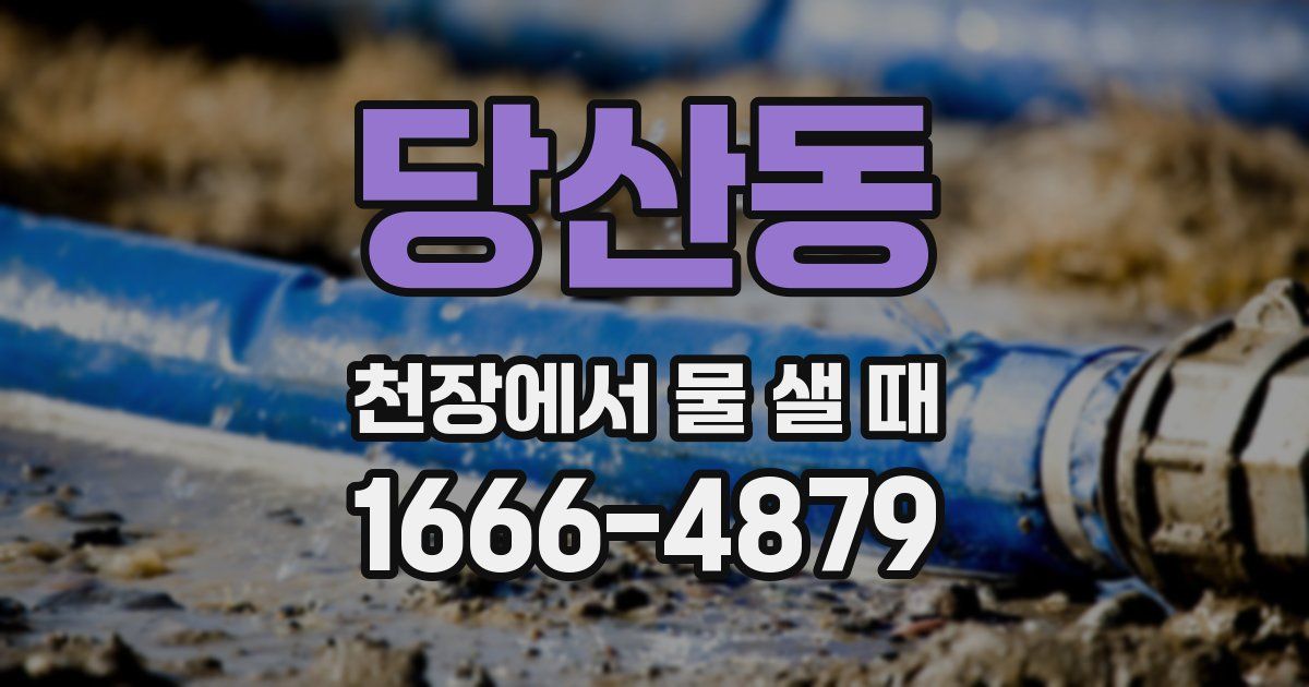 당산동 천장에서 물 샐 때