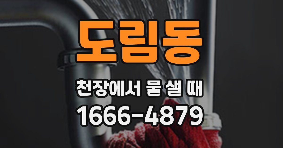 도림동 천장에서 물 샐 때