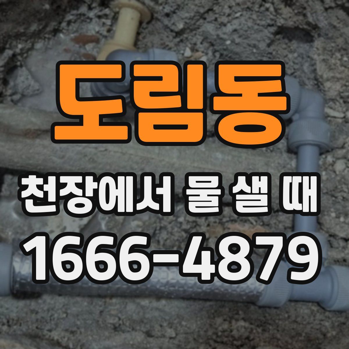 도림동 천장에서 물 샐 때