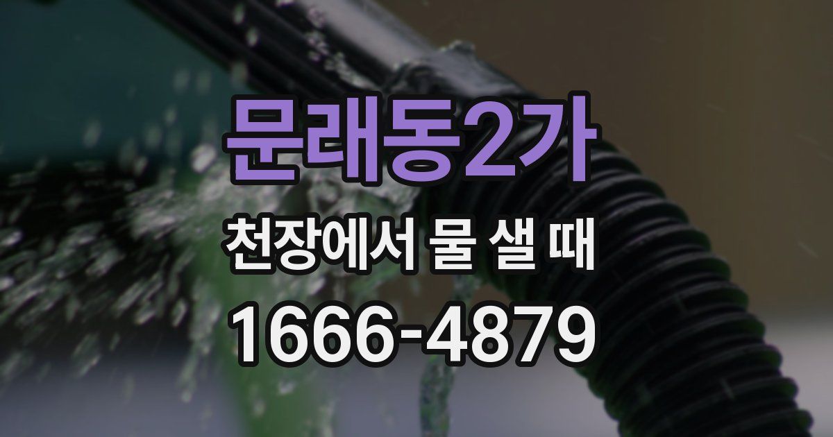 문래동2가 천장에서 물 샐 때