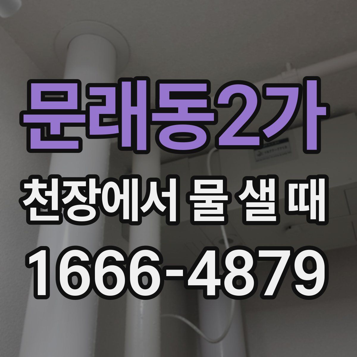 문래동2가 천장에서 물 샐 때