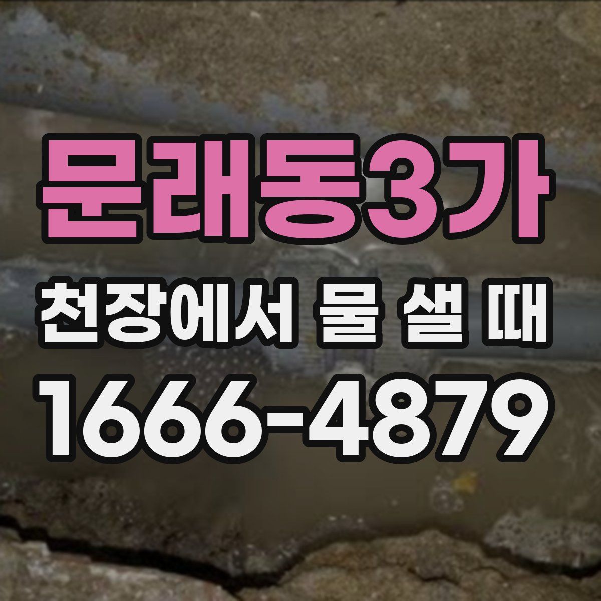 문래동3가 천장에서 물 샐 때