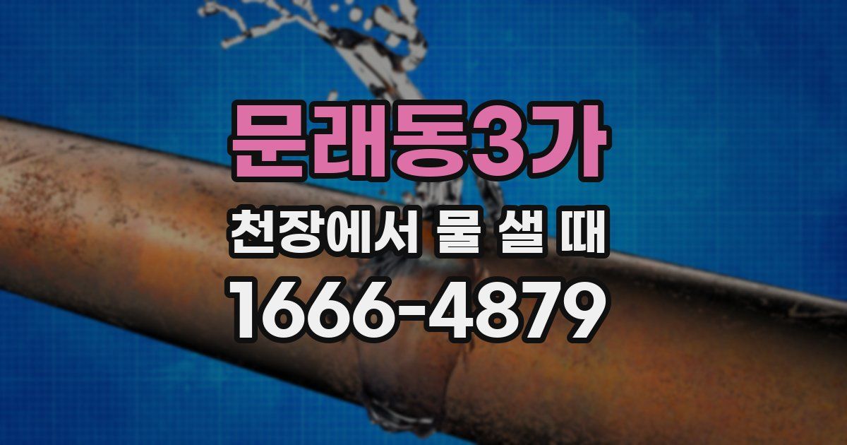 문래동3가 천장에서 물 샐 때