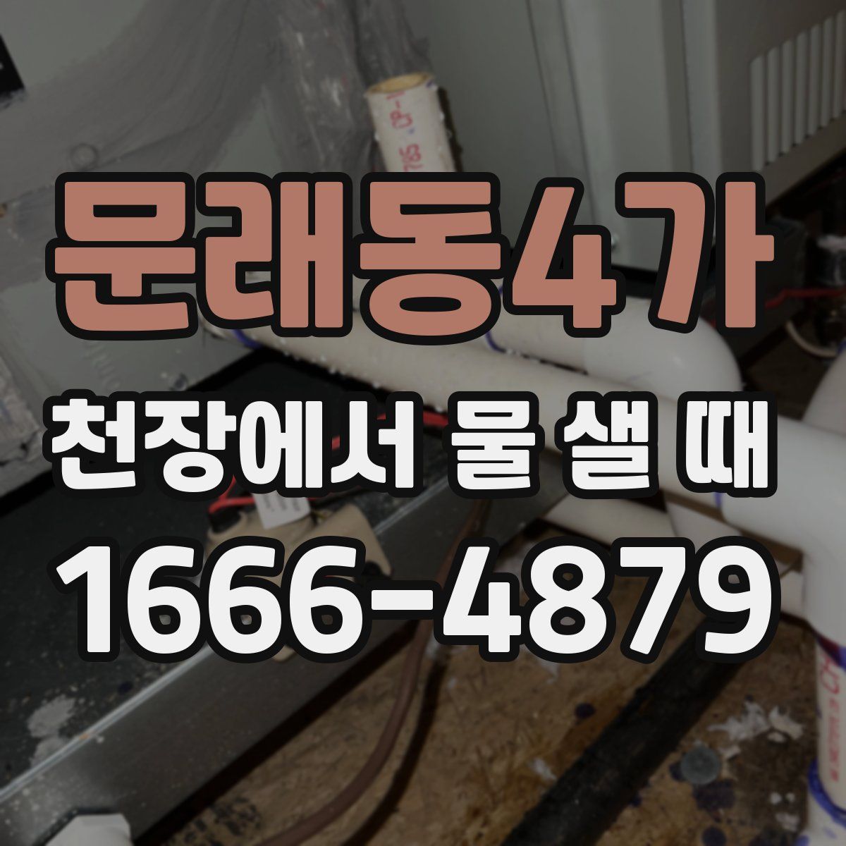 문래동4가 천장에서 물 샐 때