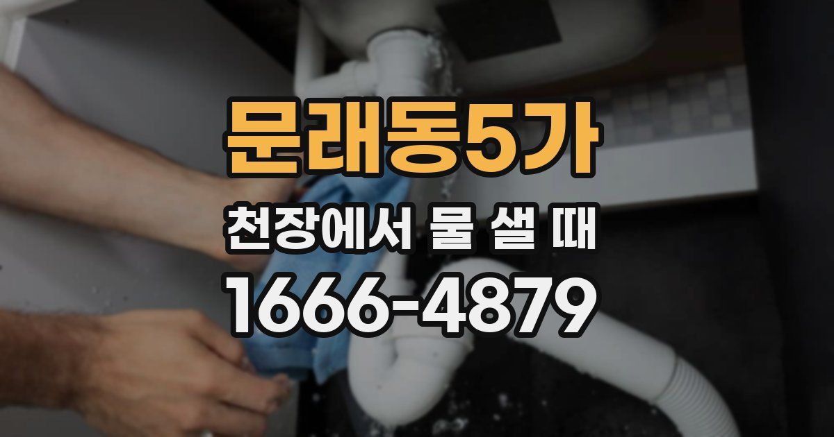 문래동5가 천장에서 물 샐 때
