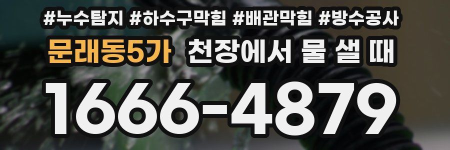 문래동5가 천장에서 물 샐 때