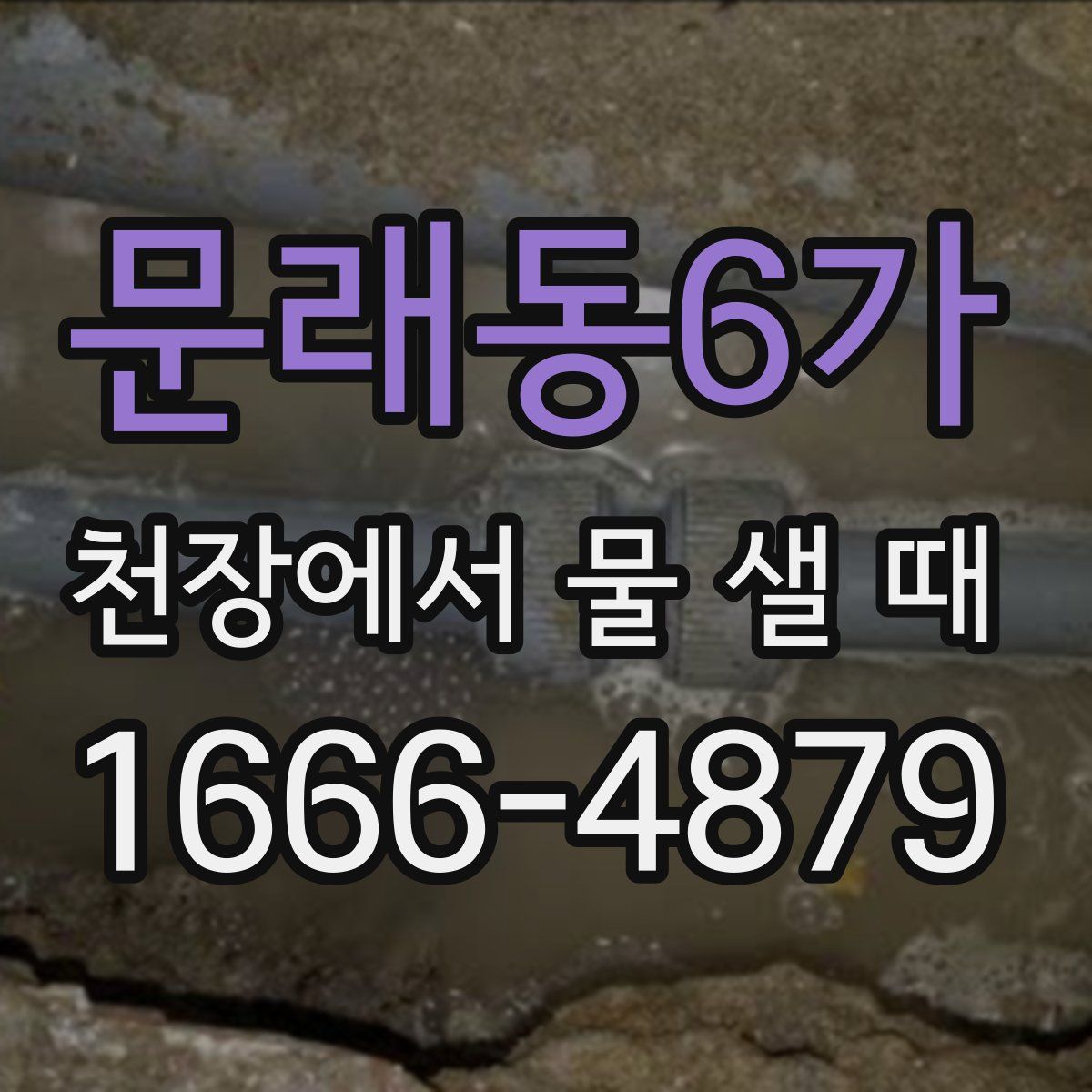 문래동6가 천장에서 물 샐 때