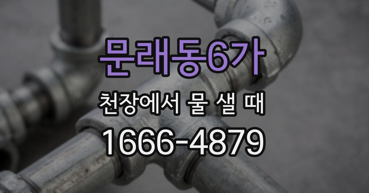 문래동6가 천장에서 물 샐 때