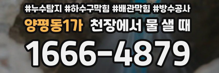 양평동1가 천장에서 물 샐 때