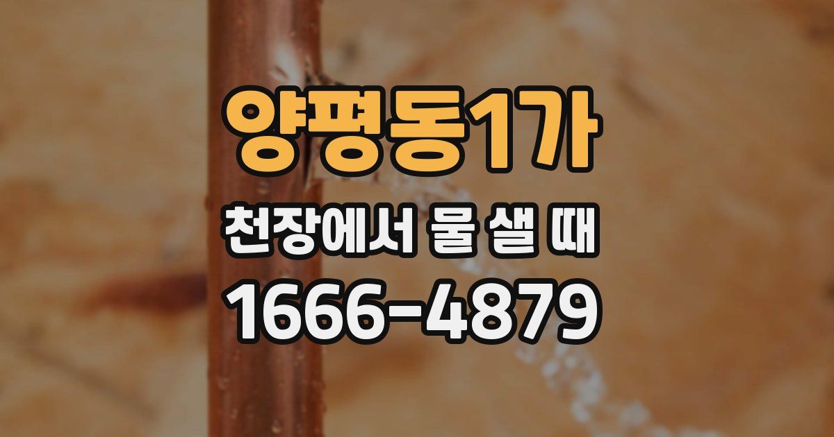 양평동1가 천장에서 물 샐 때