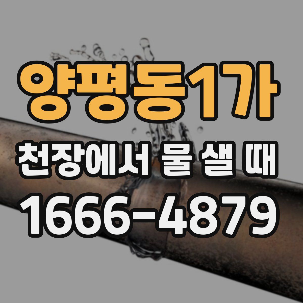 양평동1가 천장에서 물 샐 때