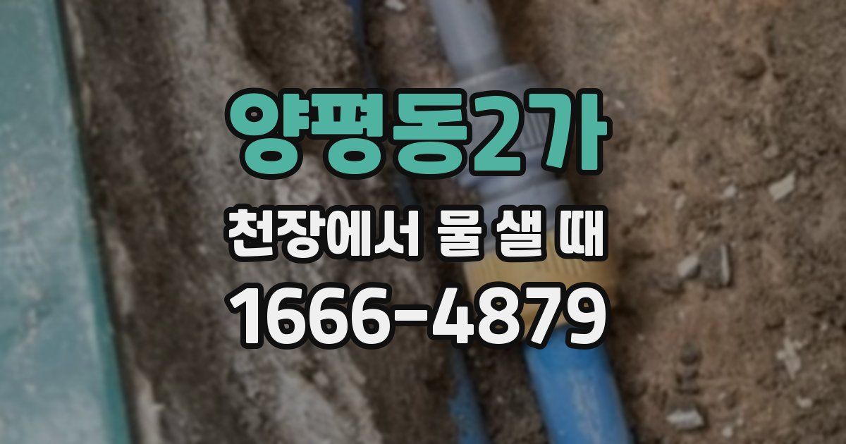 양평동2가 천장에서 물 샐 때