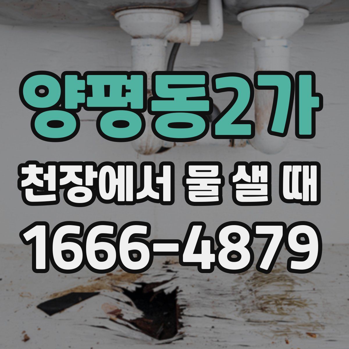 양평동2가 천장에서 물 샐 때
