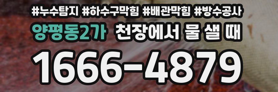 양평동2가 천장에서 물 샐 때