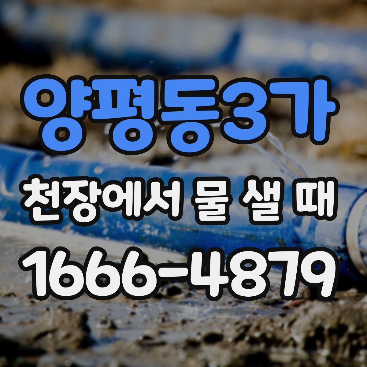 양평동3가 천장에서 물 샐 때