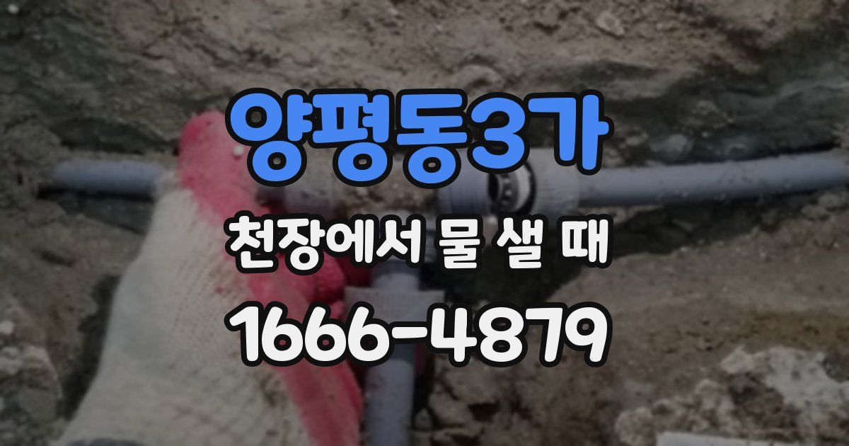 양평동3가 천장에서 물 샐 때