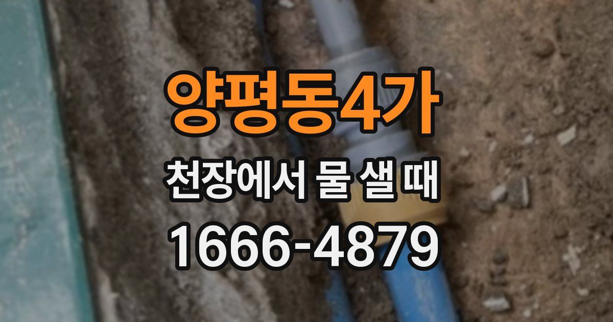 양평동4가 천장에서 물 샐 때