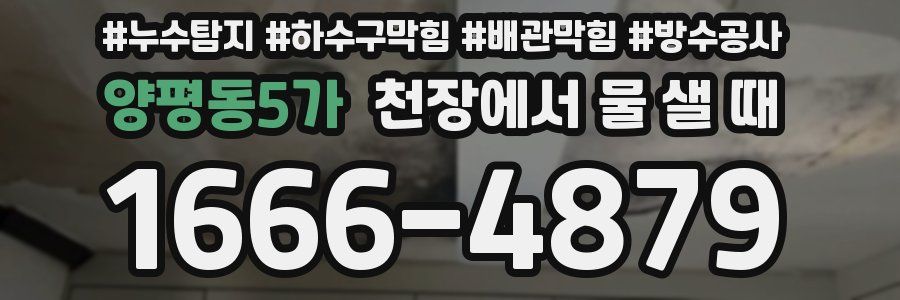양평동5가 천장에서 물 샐 때
