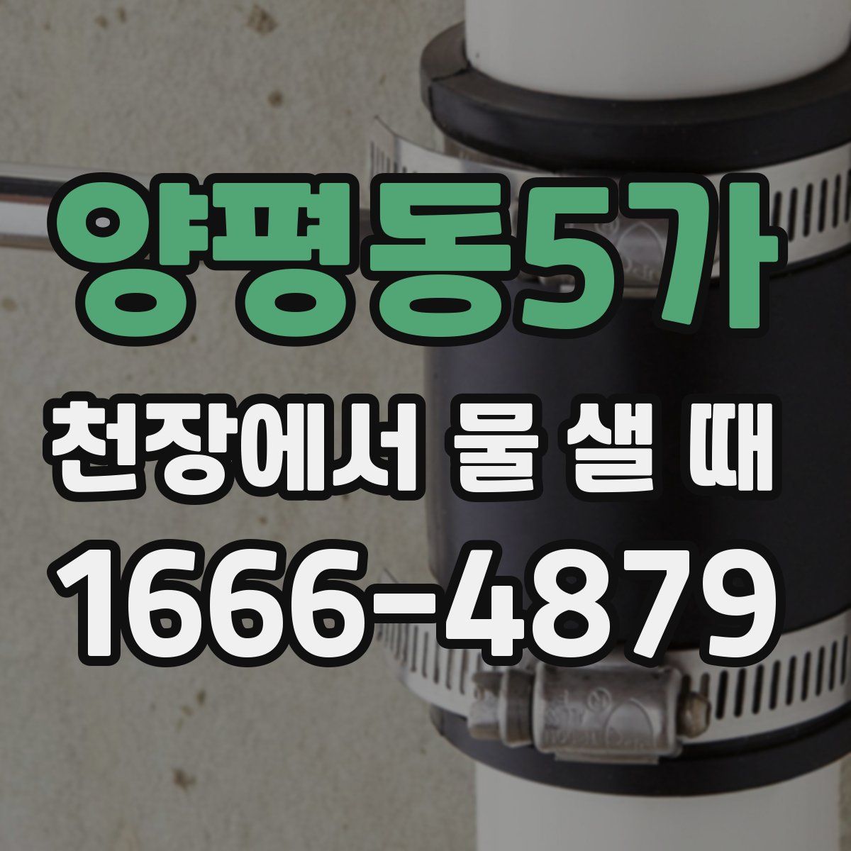 양평동5가 천장에서 물 샐 때